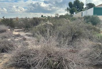 Terreno en  Elx/elche, Alicante Provincia