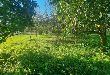 Terreno en  Sanxenxo, Pontevedra Provincia