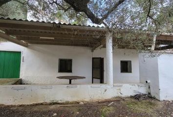 Terreno en  Coll De L'alba, Tarragona Provincia