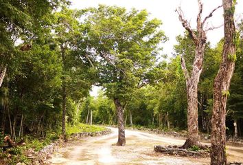 Lote de Terreno en  Chemuyil, Tulum