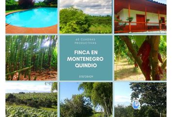 Villa-Quinta en  Montenegro, Quindío