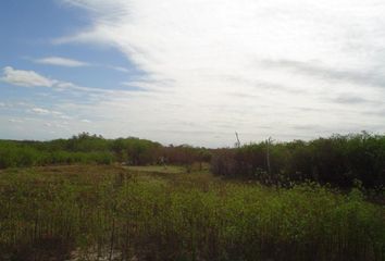 Terrenos en  Tintina, Santiago Del Estero