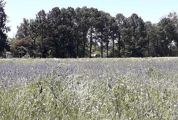 Terrenos en  Manzanares, Partido Del Pilar