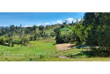 Lote de Terreno en  Marinilla, Antioquia