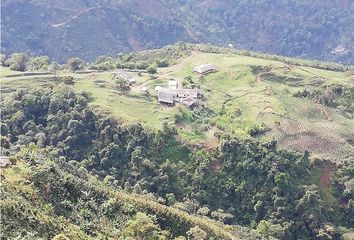 Villa-Quinta en  Concordia, Antioquia