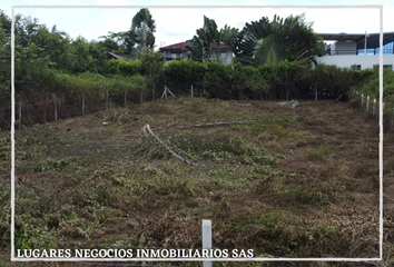 Lote de Terreno en  Carmen De Apicalá, Tolima