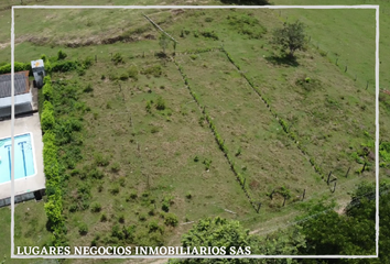 Lote de Terreno en  Carmen De Apicalá, Tolima