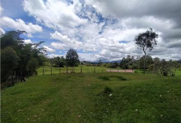 Lote de Terreno en  Rionegro Antioquía