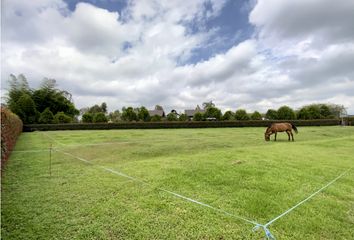 Lote de Terreno en  Rionegro Antioquía