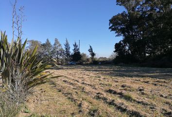 Terrenos en  Manuel B Gonnet, Partido De La Plata