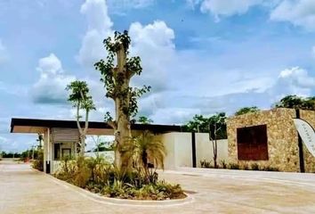 Lote de Terreno en  Camino A San Ignacio, San Ignacio, Progreso, Yucatán, 97334, Mex