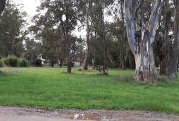 Terrenos en  Barrio La Florida, Mar Del Plata