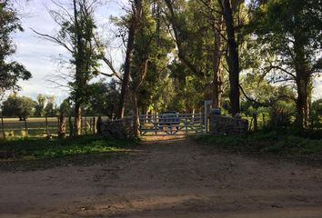 Terrenos en  Las Tapias, Córdoba