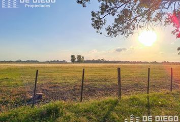 Terrenos en  Suipacha, Partido De Suipacha