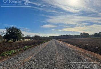 Terrenos en  Arturo Seguí, Partido De La Plata