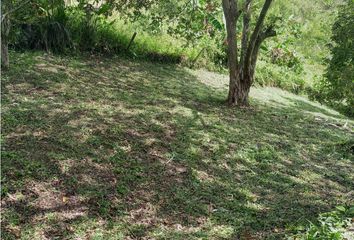 Lote de Terreno en  El Campín, Manizales