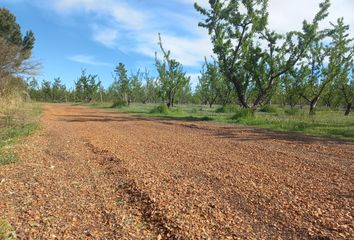 Terrenos en  Cuchillo-có, La Pampa