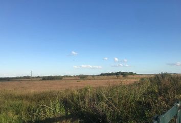 Terrenos en  Rosario Del Tala, Entre Ríos