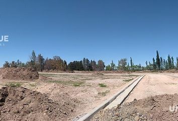 Terrenos en  Valentina Sur Urbana, Neuquén