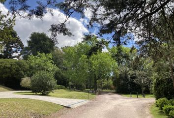 Terrenos en  Villa Elisa, Partido De La Plata