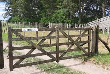 Terrenos en  Castelli, Partido De Castelli