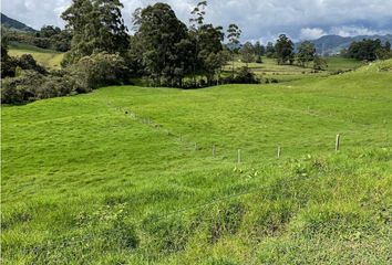 Villa-Quinta en  La Ceja, Antioquia