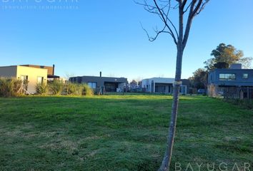 Terrenos en  Bosque Alto, Partido Del Pilar