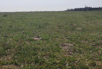 Terrenos en  Comandante Gibirone, Partido De Chascomús