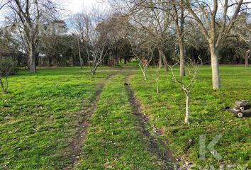 Terrenos en  Arturo Seguí, Partido De La Plata