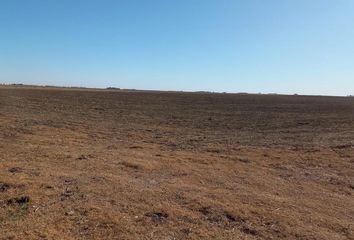 Terrenos en  Ceballos, La Pampa