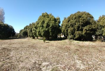 Terrenos en  Dina Huapi, Río Negro