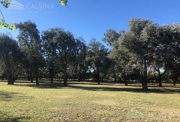 Terrenos en  Cumbres Del Golf, Villa Allende