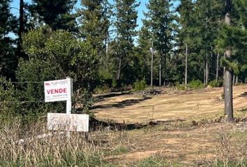 Parcela en  Pichilemu, Cardenal Caro