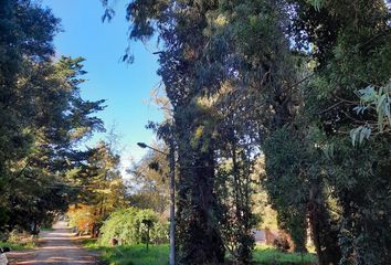 Terrenos en  Bosque Peralta Ramos, Mar Del Plata