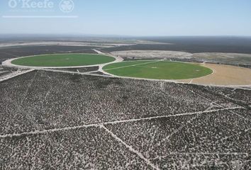 Terrenos en  Tupungato, Mendoza