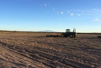 Terrenos en  General Alvear, Mendoza