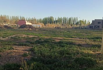 Terrenos en  Confluencia, Neuquen