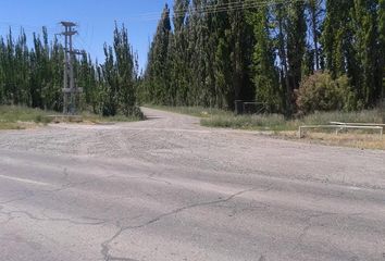 Terrenos en  San Patricio Del Chañar, Neuquen