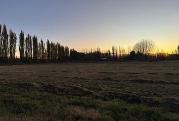 Casa en  General Roca, Río Negro