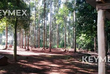 Terrenos en  Campo Grande, Misiones