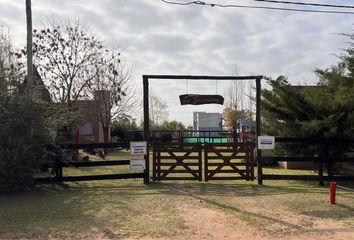 Locales en  San José, Entre Ríos