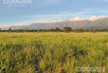 Terrenos en  Santa Rosa De Conlara, San Luis