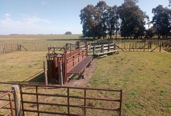 Terrenos en  Torreón, Mar Del Plata