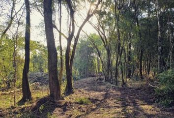 Terrenos en  San Ignacio, Misiones