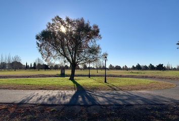 Terrenos en  Los Cardales, Exaltación De La Cruz