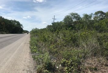 Local comercial en  Carretera Tulum - Nuevo Xcán, Francisco Uh May, Tulum, Quintana Roo, 77796, Mex