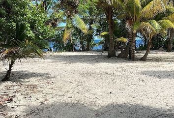 Lote de Terreno en  Camino A Punta Herrera, Othón P. Blanco, Quintana Roo, 77976, Mex