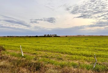 Terrenos en  Faustino M Parera, Entre Ríos