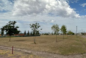 Terrenos en  Fincas De San Vicente, Partido De San Vicente