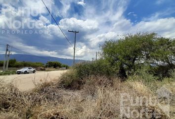 Terrenos en  Merlo, San Luis